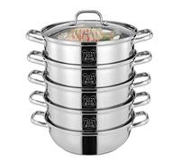 Cuiseur vapeur 5 couches en acier inoxydable 304, diamètre intérieur 29,5 cm, grand kit de cuisson à vapeur pour tous les types de cuisinières, avec couvercle transparent, idéal pour la famille et la