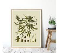 Cuisine Art Decoration Botanique Murale Art Affiche Herbes Épices Vintage Toile tableau Peinture Tableaux Herbier Maison Murale Decoration 50x70cm Sans Cadre