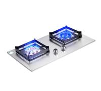 Cuisinière À Gaz - Plaque De Cuisson À Gaz 2 Feux, Panneau En Acier Inoxydable, Support De Casserole En Fonte, Technologie D'économie D'énergie À Allumage Automatique(NG)