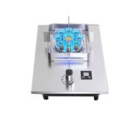 Cuisinière À Gaz Portable 1 Brûleur, En Acier Inoxydable, Minuterie Feu Élevé 9 Cavités De 5,2 KW, Source GPL/NG Compatible Avec La Protection Contre Les Flammes(LPG)