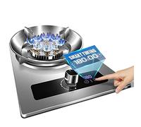 Cuisinière À Gaz Portable, 7,2 KW, 9 Cavités, Flamme Élevée, Support De Pot En Fonte En Verre Trempé Argenté, Poêle Indépendante For Camping En Plein Air, 43 × 32 × 15 Cm (Size : LPG)