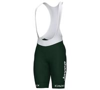 Cuissard à bretelles TEAM JAYCO-ALULA TdF 2024 vert