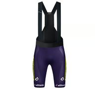 Cuissard à bretelles WILIER-VITTORIA 2025 lilas