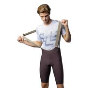 Ale Pr-e Master 2.0 Bib Shorts Marron XL Homme