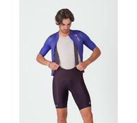 Cuissard Castelli Competizione 2 violet intense - XXL