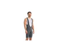 Cuissard court spiuk anatomic gris homme