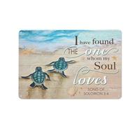 CUIYMXSC Plaque en métal amusante avec inscription « I Have Found The One Whom My Soul Loves Song of Salomon » - Décoration murale tortue - Idée cadeau chrétienne - 20,3 x 30,5 cm