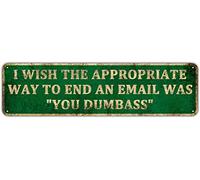 CUIYMXSC Plaque en métal humoristique avec inscription « I Wish You Dumbass » Was An Appropriate Way To End a Work Email Christmas Stay at Home Idée cadeau 10,2 x 40,6 cm
