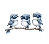 cukol cukol Broderie Point de Croix - 30x30 cm Canevas Kit Complet Adulte, 11CT Pré Imprimé Oiseaux Sympas Modèle , Facile Loisirs Créatifs Set avec Fils Pour Activité Manuelle Debutant