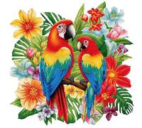 Cukol Cukol Canevas Broderie Point de Croix Kit Complet Adulte Debutant Compté Pré Imprimé Estampillé Moderne Débutant avec Fils, Animaux Perroquet 11ct Cross Stitch Loisirs Créatifs Set 36x36 cm