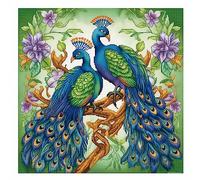 Cukol Cukol Canevas Broderie Point de Croix Kit Complet Adulte Debutant Compté Pré Imprimé Estampillé Moderne Débutant avec Fils, Facile Animaux Paon 11ct Cross Stitch Loisirs Créatifs Set 46x46 cm