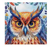 cukol cukol Canevas Broderie Point de Croix Kit Complet Adulte Debutant Compté Pré Imprimé Estampillé Moderne Débutant avec Fils, Animaux Chouette 11ct Cross Stitch Loisirs Créatifs Set 36x36 cm