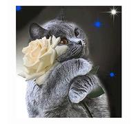 cukol cukol Canevas Broderie Point de Croix Kit Complet Adulte, Facile Kit Broderie Debutant pour Loisirs Créatifs Activité Manuelle, 40x40 cm 11CT Chat Rose Imprimé Cross Stitch Embroidery Set