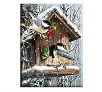 cukol cukol Canevas Broderie Point de Croix Kit Complet Adulte - Facile Kit Broderie Debutant pour Loisirs Créatifs Activité Manuelle, 36x46 cm 11CT Oiseau Imprimé Cross Stitch Embroidery Set