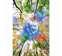 cukol cukol Canevas Broderie Point de Croix Kit Complet Adulte - Facile Kit Broderie Debutant pour Loisirs Créatifs Activité Manuelle, 36x46 cm 11CT Forêt Colorée Imprimé Cross Stitch Embroidery Set