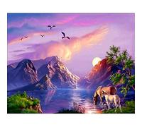 Cukol Kit de Broderie au Point de Croix pour Adultes Cheval et coucher de soleil, Point de Croix Compté pour Adultes Canevas Broderie Point de Croix Kit Complet Adulte Debutant Imprimé Débutant Enfant