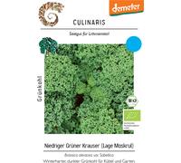 Culinaris Chou Frisé Vert Bio - 1 sachet