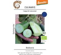 Culinaris Concombre Bio "Bodoana" - 12 Graines