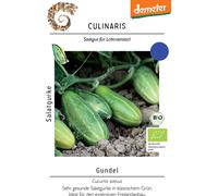 Culinaris Concombre Bio "Gundel" - 12 Graines