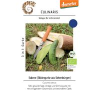 Culinaris Concombre Bio "Salome" - 12 Graines