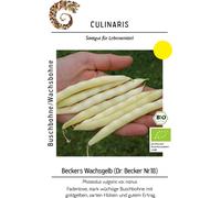 Culinaris Haricot Nain Bio "Beckers Wachsgelb" - 35 Graines