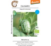 Culinaris Mini-Concombre Mexicain Bio - 12 Graines