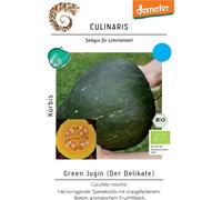 Culinaris Potiron Bio Green Jugin - 1 sachet