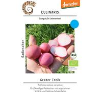 Culinaris Radis Bio "Grazer Treib" - 3,50 g