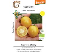 Culinaris Tomate Buisson Bio "Tigerette Cherry" - 15 Graines