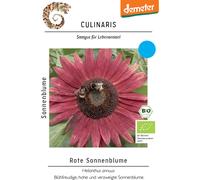 Culinaris Tournesol Rouge Bio - 30 Graines