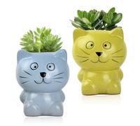 Culinavog Pot de Fleurs Chat, Pot Mini Plante Grasse, Lot de 2 en Céramique, Style Dessin Animé, Jaune et Bleu, pour Bureau et Balcon