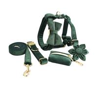 CulineformX Ensemble harnais et laisse en velours vert pour chiens de grande taille avec nœud en fleur amovible et boucle en métal doré pour femelle