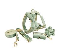 CulineformX Leash Collier pour chien 6 pièces, menthe verte, flanelle, combinaison en métal doré, chiens moyens et grands, costume tendance de printemps
