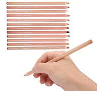 Culnflun Crayons pastel, paquet de 12, ensemble d'outils de dessin au fusain de toner professionnel peint à la main pour artistes débutants, illustration de peinture