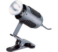 Culot E27 EiKO avec fiche Euro 230 V 60 W 1 pc(s)