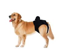 Culotte Courte Hygiénique pour Chien Grande Couche Adaptée pour Satsuma Labrador, Pantalon Physiologique Lavable pour Chien De Compagnie Fournitures De Soins Infirmiers(Black,S)