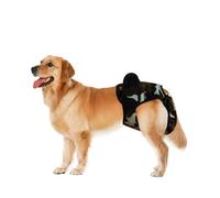 Culotte Courte Hygiénique pour Chien Grande Couche Adaptée pour Satsuma Labrador, Pantalon Physiologique Lavable pour Chien De Compagnie Fournitures De Soins Infirmiers(Green,XXL)