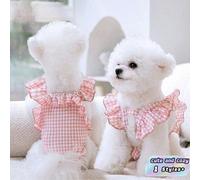 Culotte de ventre pour animal de compagnie réglable, lavable et réutilisable avec bordure en dentelle, pantalon physiologique confortable et respirant pour chien pour prévenir le harcèlement et la gro