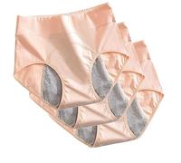 Culotte D'incontinence Urinaire, 3 Pcs Culotte D'incontinence Urinaire Lavable, avec Zone Absorbante Anti-Fuite, Sous-Vêtements Anti-fuites Protection À La Période