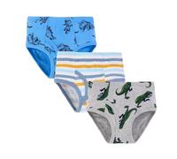 Culotte Fille 8 Ans - Slips pour Garçons Cartoon Dinosaur Medium Briefs Shorts pour Bébés Garçons pour Enfants 3Pc (Grey 100)
