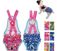 Culotte hygiénique lavable réutilisable avec jarretelles pour chien, S: Waist 14" - 16", Célébration rose et fleurs bleues.
