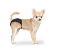 Culotte pour chien Duvoplus Noir 24/31 cm