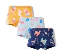 Culottes Ensemble 3 pièces pour bébé Fille avec Short Arc-en-Ciel et sous-vêtements(Dark Blue,10-11 Ans)