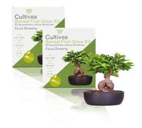 CULTIVEA® 2 x Kit First Bonsai- Kit de première culture de Bonsaï - Prêt à Pousser avec Graines & Accessoires - Idée Cadeau Jardinage | Made In France (Ficus Ginseng)