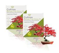 CULTIVEA® 2 x Kit First Bonsai- Kit de première culture de Bonsaï - Prêt à Pousser avec Graines & Accessoires - Idée Cadeau Jardinage | Made In France (Japanese Mapple)