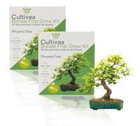 CULTIVEA® 2 x Kit First Bonsai- Kit de première culture de Bonsaï - Prêt à Pousser avec Graines & Accessoires - Idée Cadeau Jardinage | Made In France (Phoenix Tree)