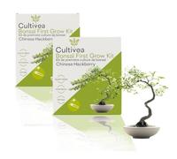 CULTIVEA® 2 x Kit First Bonsai- Kit de première culture de Bonsaï - Prêt à Pousser avec Graines & Accessoires - Idée Cadeau Jardinage | Made In France (Hackberry)
