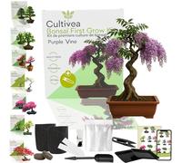 CULTIVEA® Kit First Bonsai- Kit de première culture de Bonsaï - Prêt à Pousser avec Graines & Accessoires - Idée Cadeau Jardinage | Made In France (Purple Wine)