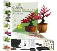 CULTIVEA® Kit First Bonsai- Kit de première culture de Bonsaï - Prêt à Pousser avec Graines & Accessoires - Idée Cadeau Jardinage | Made In France (Wintersweet)