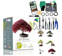 Cultivea® - Coffret duo bonsaï : duo bonsaï mini kit prêt à pousser 6 bonsaïs + lot de 32 outils en acier - Culture & entretien complet - Ciseaux, pinces, fil aluminium - Idée cadeau originale jardin